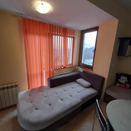 Guest house вилла мадонна *